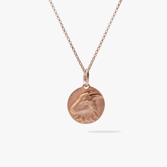 Mythology 18ct Rose Gold Capricorn Necklace | Annoushka jewelley