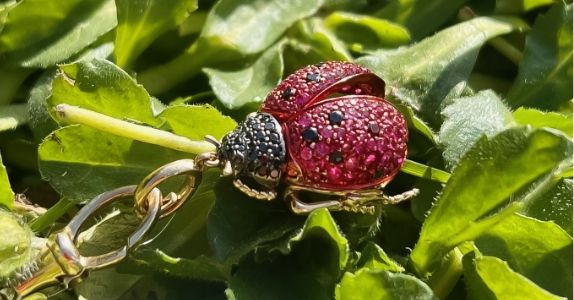 Celebrating Coloured Gemstones