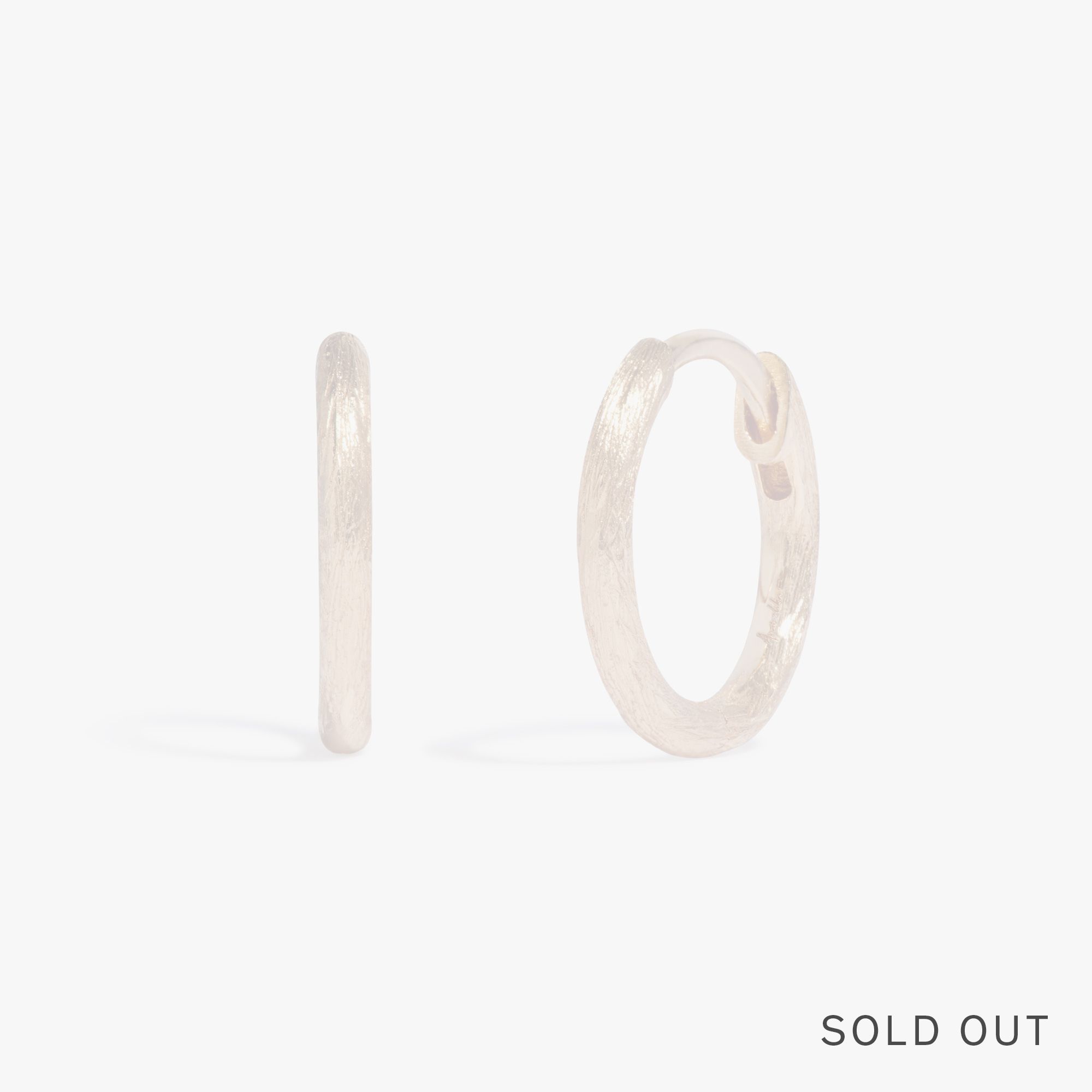 Hoopla Small Hoop Earrings
