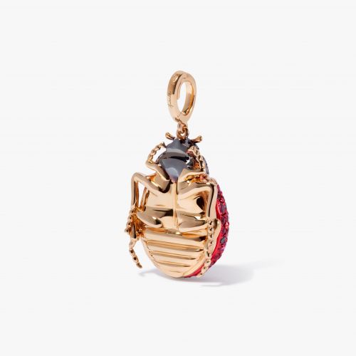Mythology Ladybird Locket Charm Pendant 