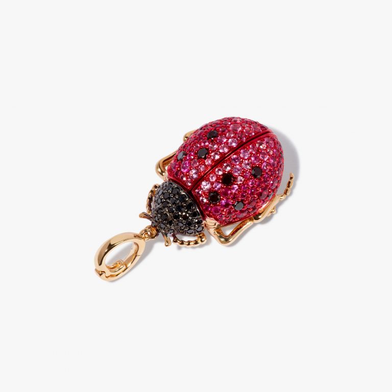 Mythology Ladybird Locket Charm Pendant 
